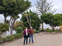 G&aacute;ldar: Parques y Jardines renueva las zonas verdes de la Plaza Jos&eacute; M&ordf; Rodr&iacute;guez Quintana de Barrial