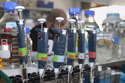 Sanidad contabiliza un caso confirmado y dos en estudio de viruela del mono desde el viernes