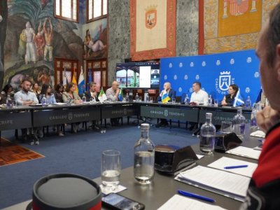El Gobierno presenta el proyecto de reforma de la Ley de Patrimonio Cultural en el Consejo Autonómico