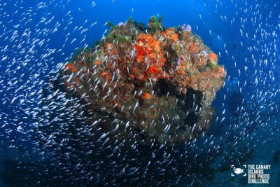 Ciencia e innovación portátil para investigar el océano