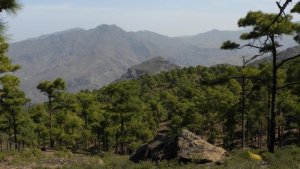 Valleseco: Plan de senderismo de fin de semana con la Ruta Arcos de Las Marreras