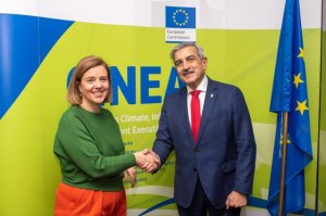El Gobierno identifica posibles vías de financiación europea para los trenes