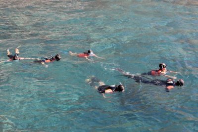 G&aacute;ldar: Arranca el FotoSub con las actividades escolares y con el inicio del Caza FotoSub