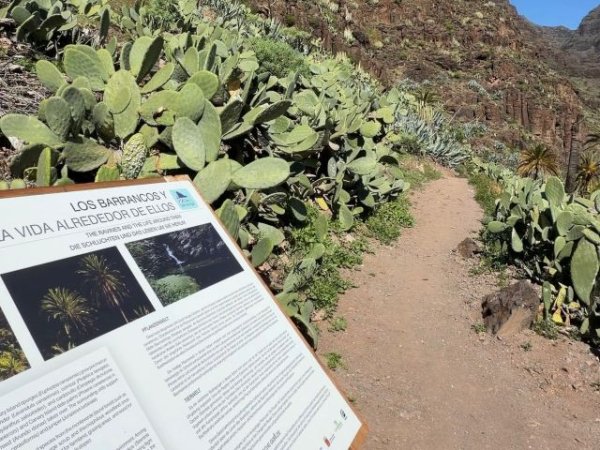 La Gomera: El Cabildo culmina los trabajos de conservaci&oacute;n del sendero El Guro - Salto del Agua en Valle Gran Rey
