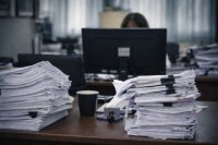 El Ayuntamiento de Santa Br&iacute;gida incrementa un 55 % la gesti&oacute;n de expedientes en tres a&ntilde;os