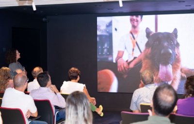 Animundo prepara su sexta edici&oacute;n con la colaboraci&oacute;n de los ayuntamientos de la isla