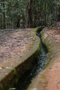Turismo Valleseco cierra la temporada de senderismo con la “Ruta del Agua”