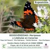 Villa de Firgas: El viernes 16 de junio se abre la Exposición “Biodiversidad: Mariposas y Libélulas en Canarias”