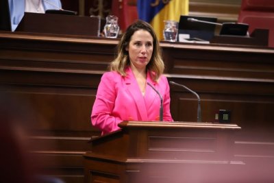 El PSOE lleva a Pleno el cambio del modelo tur&iacute;stico en Canarias y la implantaci&oacute;n del impuesto a las pernoctaciones tur&iacute;sticas