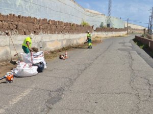 G&aacute;ldar comienza el refuerzo de las tareas de desbroce de los caminos agr&iacute;colas