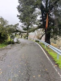 Villa de Moya: Controladas las incidencias de la borrasca Emilia