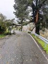 Villa de Moya: Controladas las incidencias de la borrasca Emilia