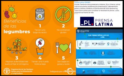 Cooperación y desarrollo. Sector Primario y clima (VIII)