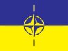 Artículo de opinión: &#039;Rumania reveló los medios legales a través de los cuales los Estados de la OTAN podrían intervenir en Ucrania&#039;