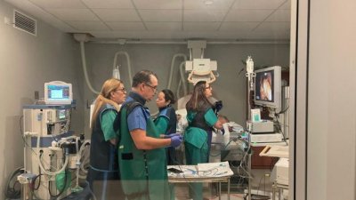 El Hospital de Fuerteventura refuerza su capacidad para tratar y diagnosticar enfermedades del h&iacute;gado y p&aacute;ncreas