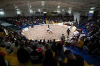 Lucha Canaria:  La Liga Cabildo de Gran Canaria de Tercera Categor&iacute;a abre el tel&oacute;n