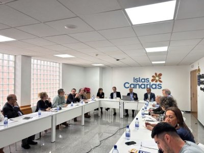 El Gobierno re&uacute;ne a los cabildos para recoger propuestas al anteproyecto de Ley del Uso Tur&iacute;stico de Viviendas