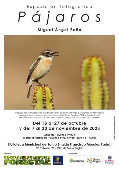 La Villa de Santa Br&iacute;gida acoge la Exposici&oacute;n &ldquo;P&aacute;jaros&rdquo;, de Miguel &Aacute;ngel Pe&ntilde;a, dentro del marco de "Noviembre Forestal 2023"