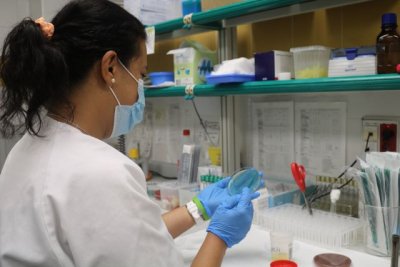 Sanidad comunica dos casos confirmados de viruela del mono sin registrar nuevos en estudio desde ayer