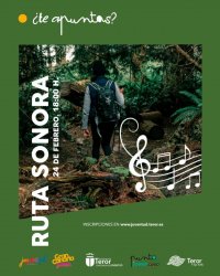 Teror: Juventud y Turismo realizarán el 24 de febrero una “Ruta sonora” con música en directo