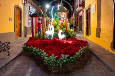 G&aacute;ldar: El Ayuntamiento regala pascuas para llevarse un recuerdo de la XVII Semana de las Flores