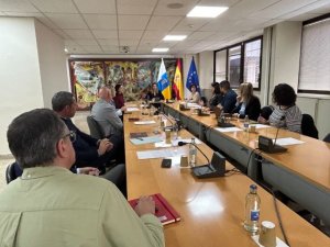 El Gobierno no exigirá a los cabildos justificar un mínimo de viajes para recibir la financiación al transporte