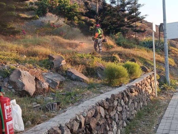 El Ayuntamiento de San Bartolom&eacute; de Tirajana y la fundaci&oacute;n Foresta finalizan la primera fase del proyecto Emplea Verde SBT
