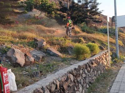 El Ayuntamiento de San Bartolomé de Tirajana y la fundación Foresta finalizan la primera fase del proyecto Emplea Verde SBT