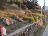 El Ayuntamiento de San Bartolom&eacute; de Tirajana y la fundaci&oacute;n Foresta finalizan la primera fase del proyecto Emplea Verde SBT