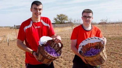 Los jóvenes europeos ya cuentan con una Estrategia para incorporarse a la agricultura y ganadería: UPA pide su desarrollo urgente