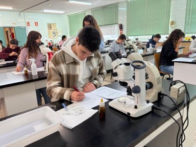 Educaci&oacute;n refuerza el apoyo a las fases auton&oacute;micas de las olimpiadas de conocimiento