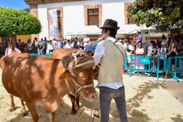 Teror celebra Día de Canarias con música y actividades tradicionales en la Alameda Pío XII