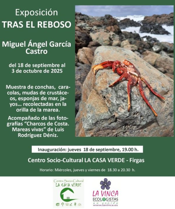 Firgas: La Exposición “Tras el reboso”, de Miguel García Castro se inaugura el 18 de septiembre en La Casa Verde