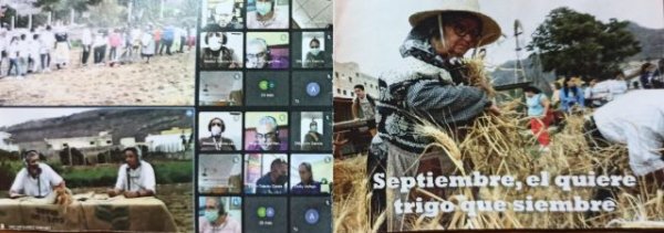 La Aldea: El jueves se celebró el primer encuentro de ‘La Cultura del Cereal en Canarias’