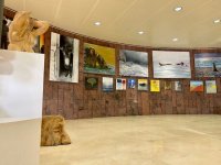La muestra de pintura y escultura &lsquo;La Gomera&rsquo; se inaugura este jueves en el Cabildo