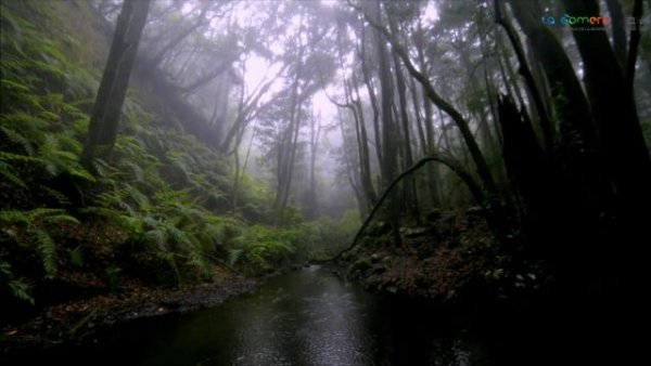 La Gomera cumple 10 años como Reserva de la Biosfera y será sede del Comité Español del programa MaB