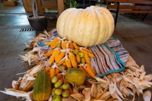 La calabaza gigante de Valleseco, se exhibe en el Mercado Ecológico del municipio