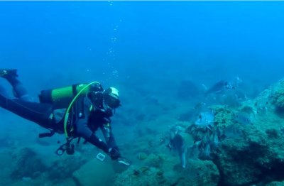 La Gomera ser&aacute; sede de la primera edici&oacute;n del Festival Internacional de Cortos Medioambientales