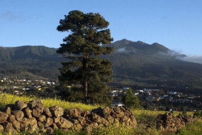 Transici&oacute;n Ecol&oacute;gica convoca ayudas por m&aacute;s de 5,5 millones para actuaciones en Reservas de la Biosfera