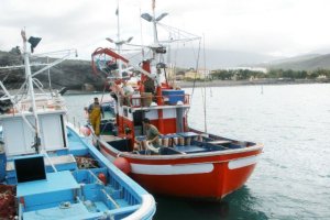 El Gobierno inicia el abono de 8,28 millones de las subvenciones del FEMPA-Poseican de 2021 al sector pesquero
