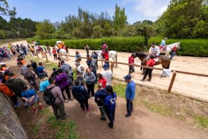 Valleseco se convierte ma&ntilde;ana en el coraz&oacute;n de la inclusi&oacute;n de Gran Canaria
