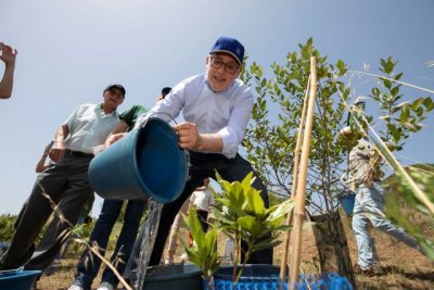 El Cabildo da a conocer sistemas para crear 'bosques productivos y comestibles', en un taller de participaci&oacute;n ciudadana dentro del proyecto 'Treemac'