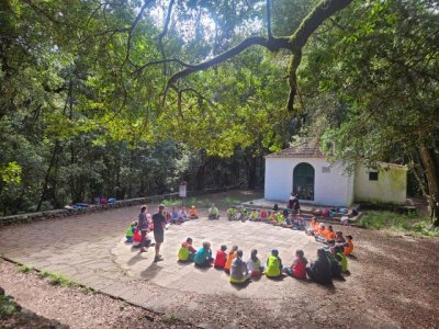 La Gomera: El Cabildo apertura una nueva edici&oacute;n del Campamento de Verano de El Cedro