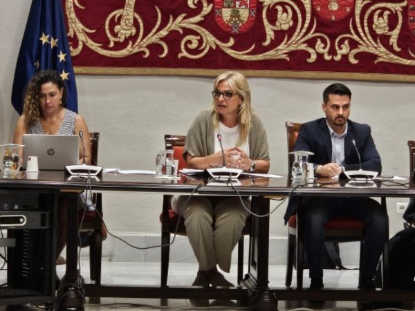 Monzón anuncia que el Hospital del Norte de Tenerife contará con servicio de Hospitalización a Domicilio