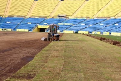 El lID inicia los trabajos para renovar el césped del Estadio de Gran Canaria