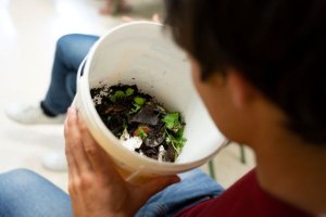 La Universidad de Verano de La Gomera inicia su itinerario este mi&eacute;rcoles en Agulo