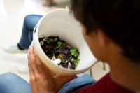 La Universidad de Verano de La Gomera inicia su itinerario este mi&eacute;rcoles en Agulo