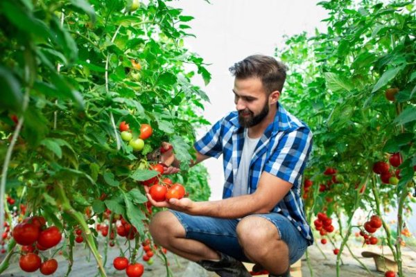 El Gobierno de Canarias gestionará 24 millones de euros en ayudas del PEPAC a jóvenes agricultores y ganaderos