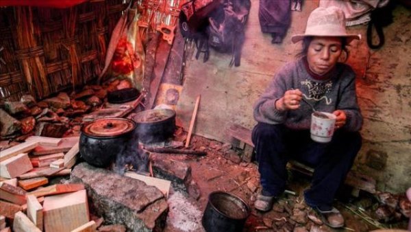 Cooperación y desarrollo. Sector Primario: ¿Crisis alimentaria o de precios? (VIII)