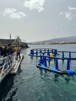 Estudiantes de carreras tecnológicas conocen de primera mano el proyecto AquaWind coordinado por ACIISI